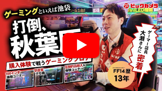 【ビックカメラのB面】ゲーミングフロア徹底ガイド！秋葉原に挑む池袋の限定機