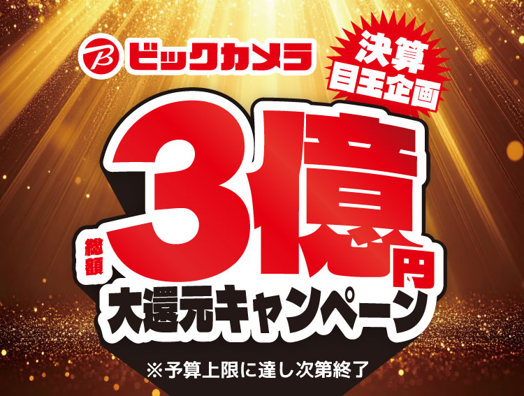 【予算達し次第終了】決算目玉企画！総額3億円大還元キャンぺージ実施中