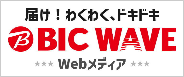 Bic WAVE