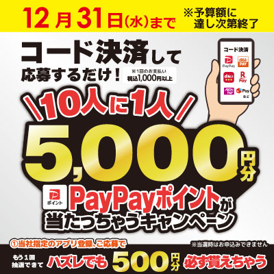 10人に1人 5,000円分PayPayポイントが当たっちゃうキャンペーン